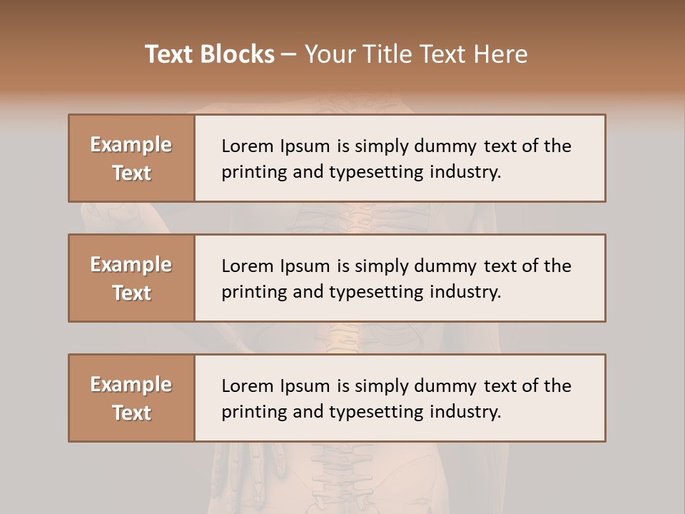 Transparent Body Spine PowerPoint Template