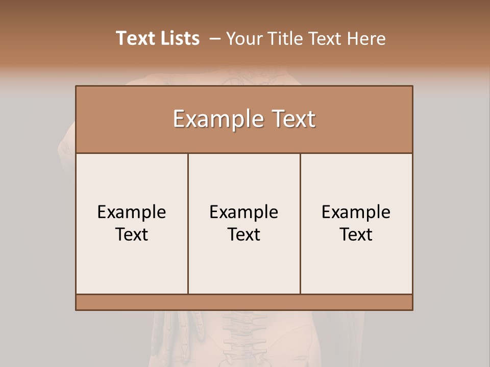 Transparent Body Spine PowerPoint Template