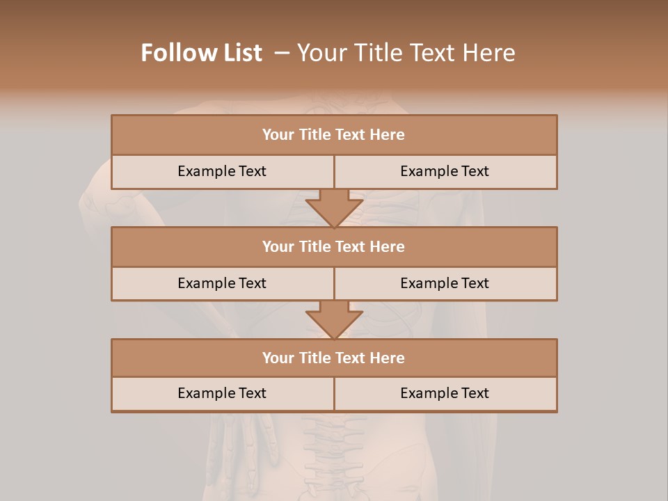 Transparent Body Spine PowerPoint Template