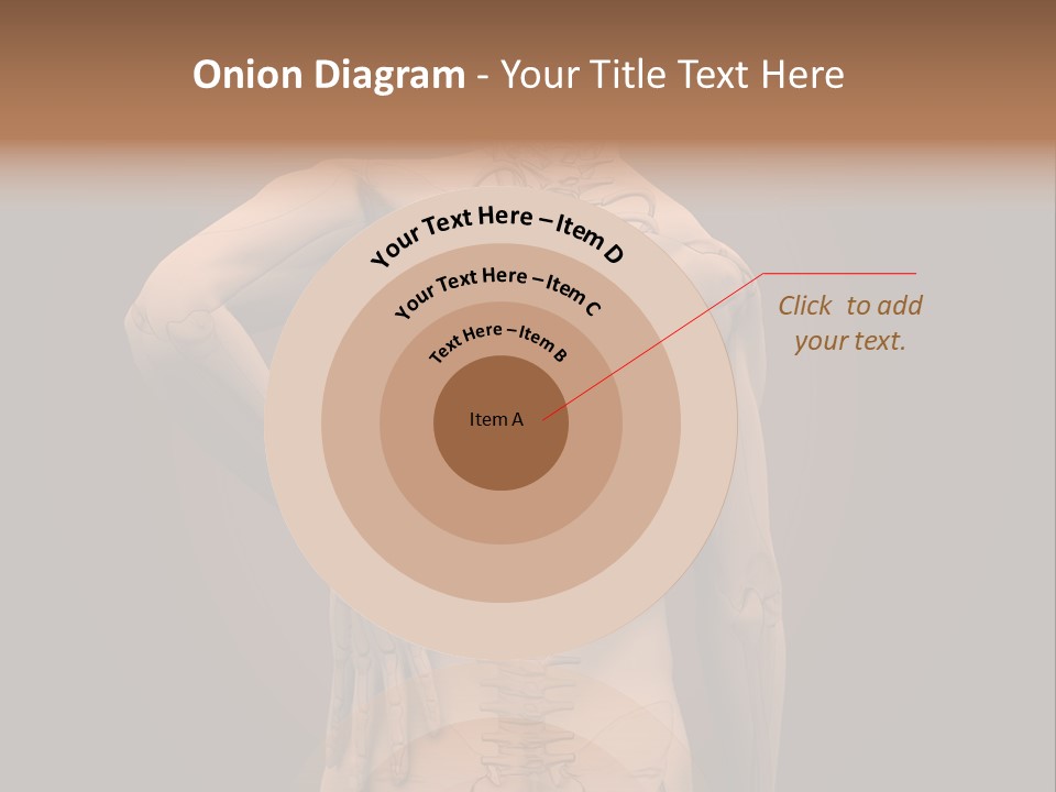 Transparent Body Spine PowerPoint Template