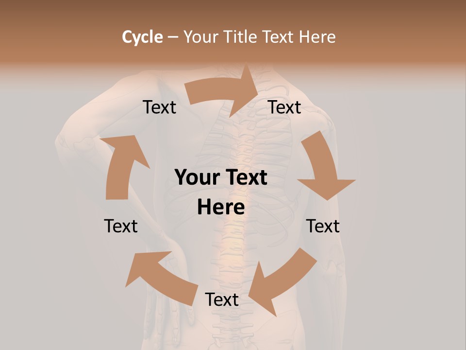Transparent Body Spine PowerPoint Template