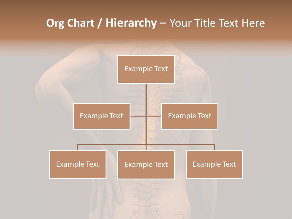 Transparent Body Spine PowerPoint Template
