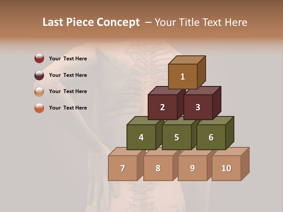 Transparent Body Spine PowerPoint Template
