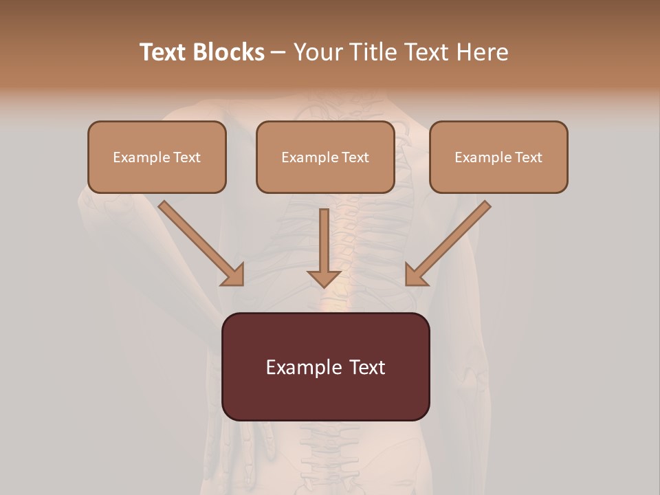 Transparent Body Spine PowerPoint Template