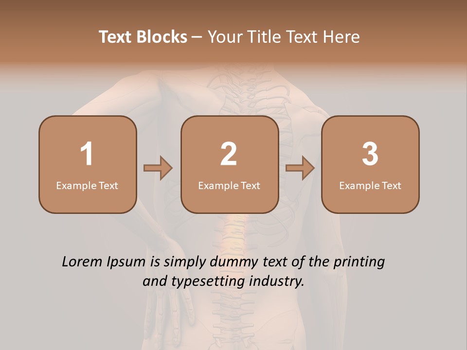 Transparent Body Spine PowerPoint Template