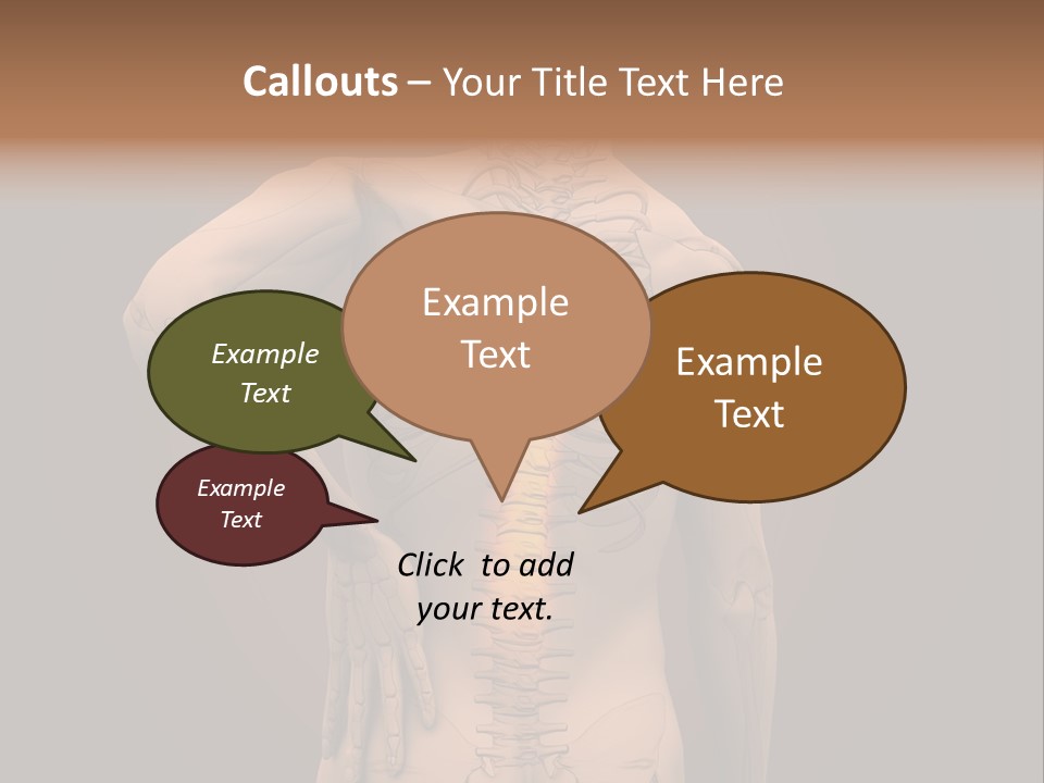 Transparent Body Spine PowerPoint Template
