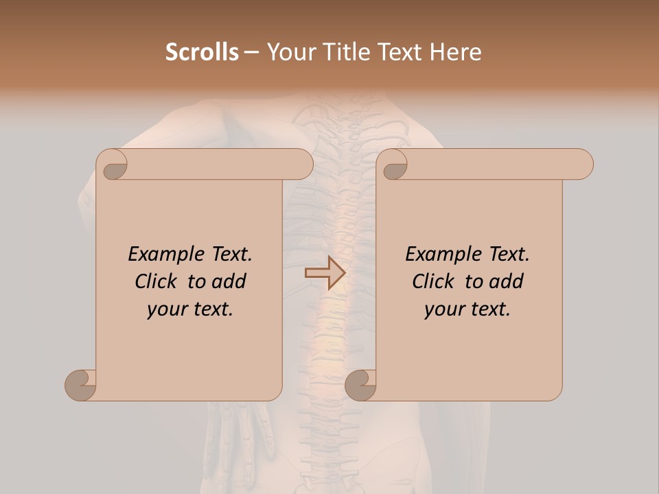 Transparent Body Spine PowerPoint Template