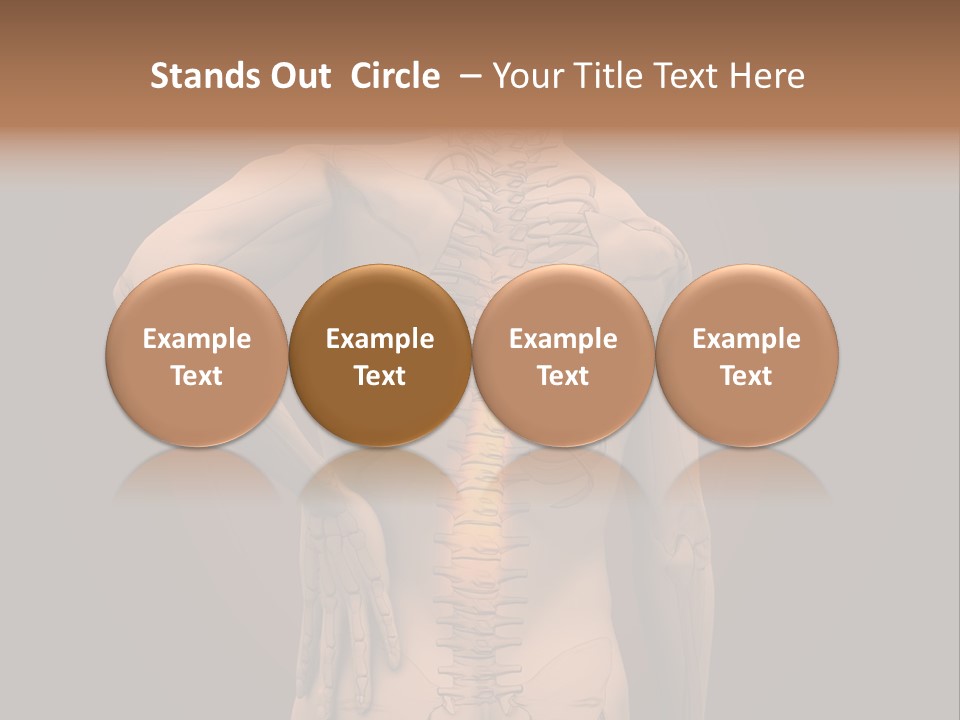Transparent Body Spine PowerPoint Template
