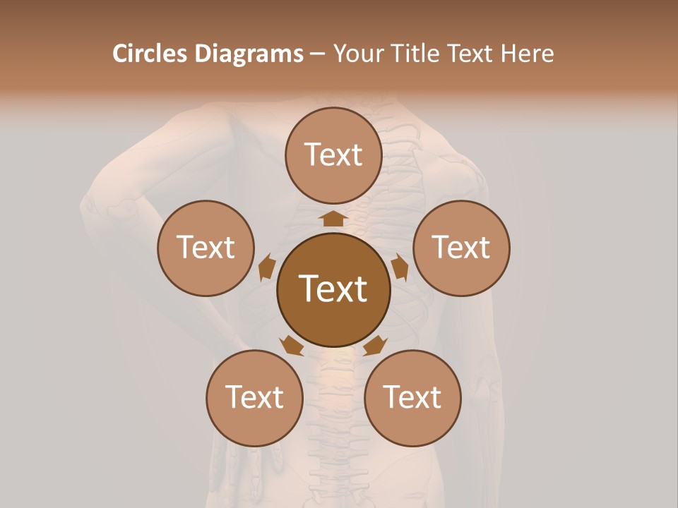 Transparent Body Spine PowerPoint Template