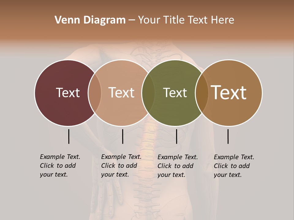 Transparent Body Spine PowerPoint Template