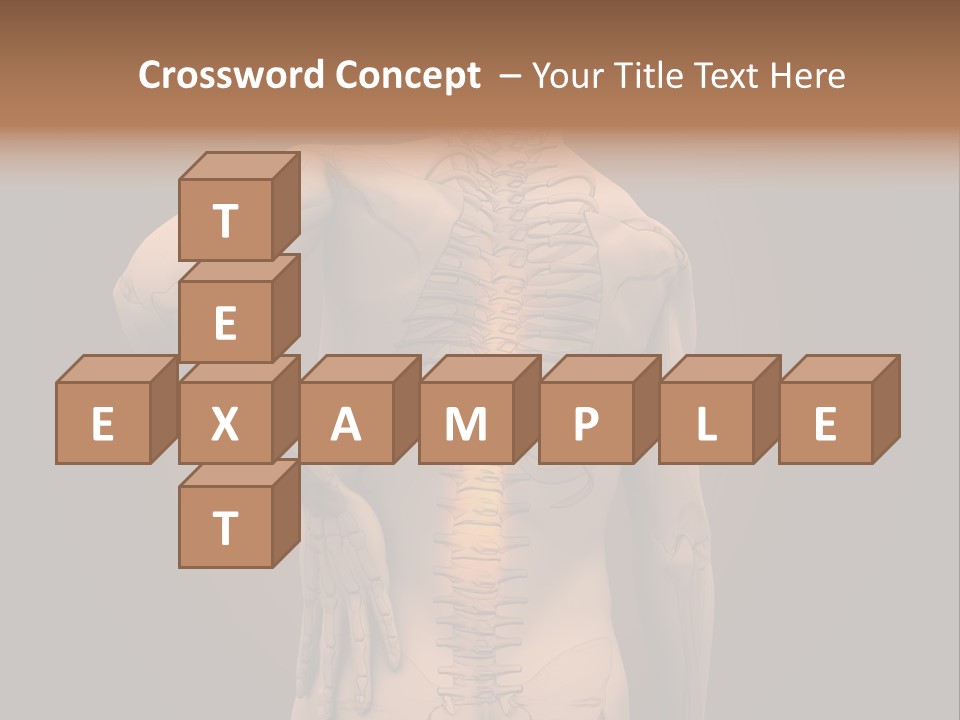 Transparent Body Spine PowerPoint Template