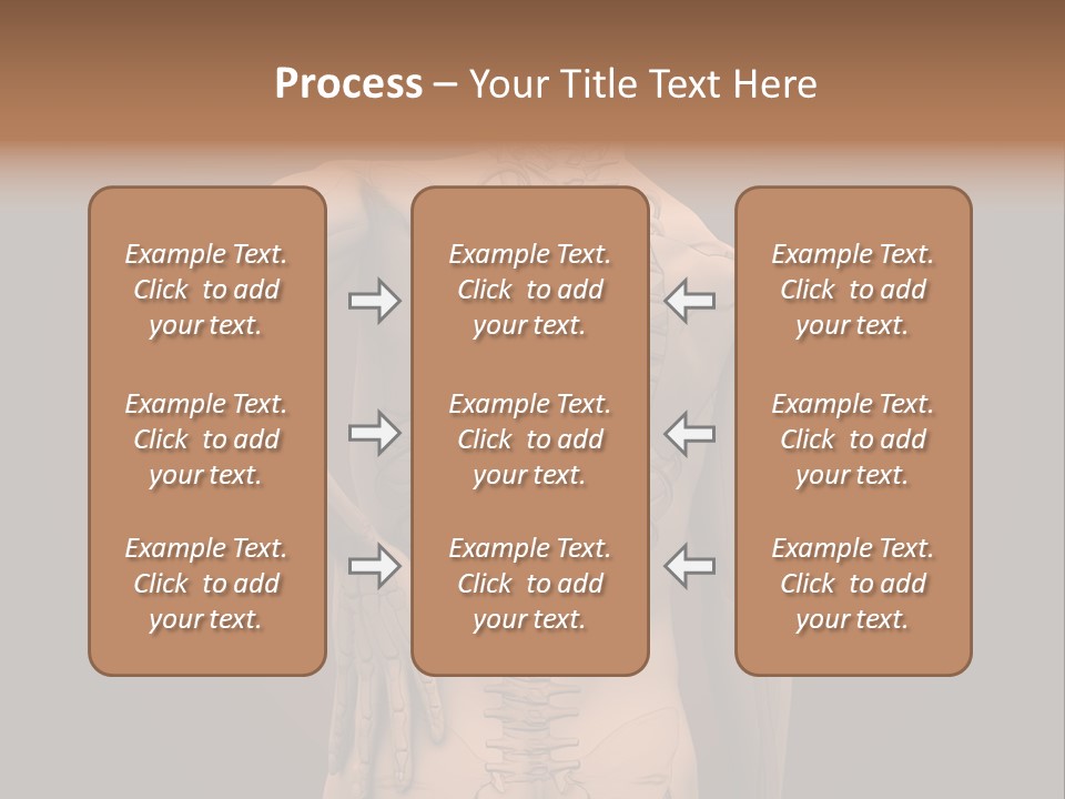 Transparent Body Spine PowerPoint Template