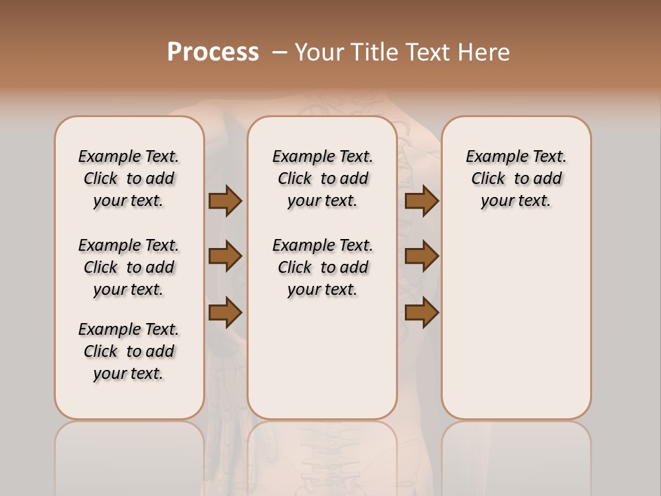 Transparent Body Spine PowerPoint Template