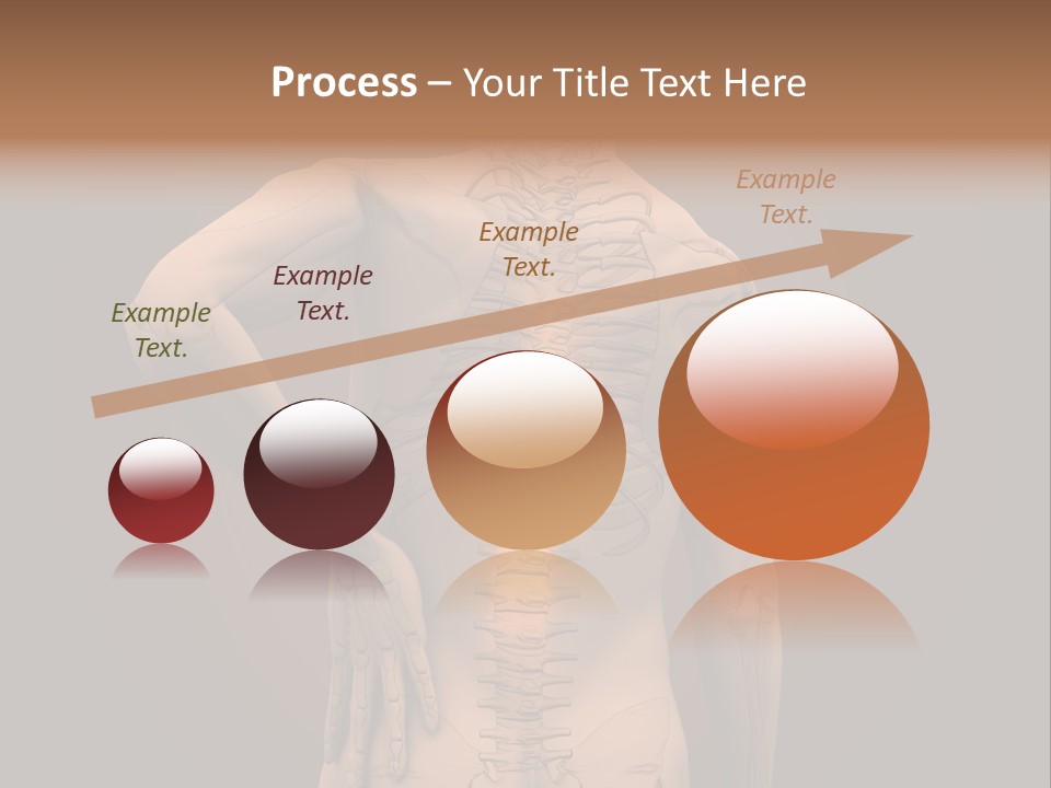Transparent Body Spine PowerPoint Template