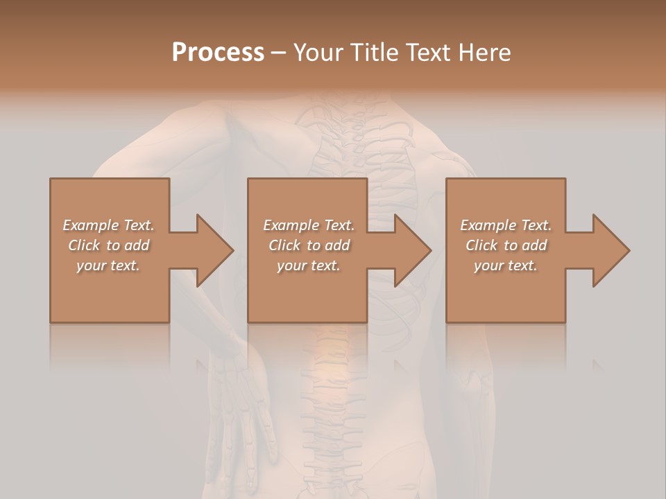 Transparent Body Spine PowerPoint Template
