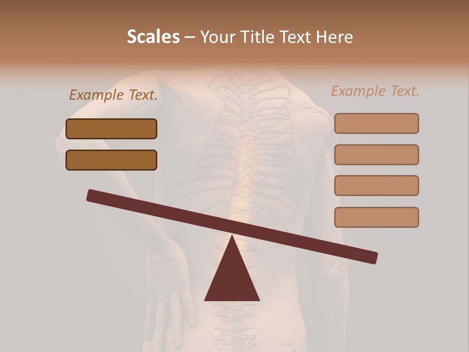 Transparent Body Spine PowerPoint Template