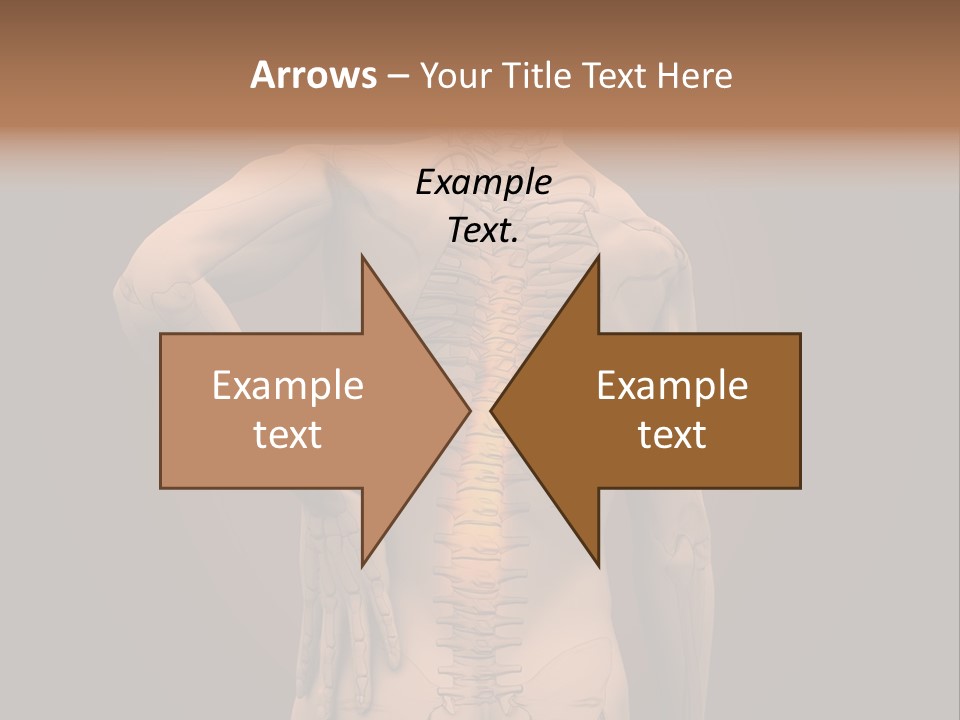 Transparent Body Spine PowerPoint Template