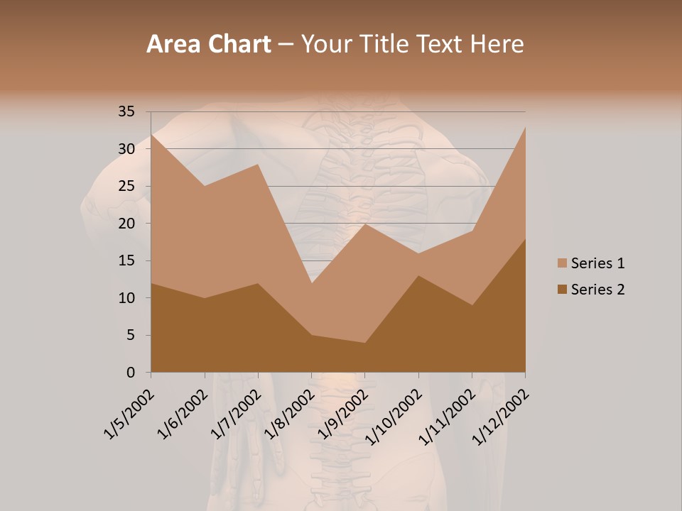 Transparent Body Spine PowerPoint Template