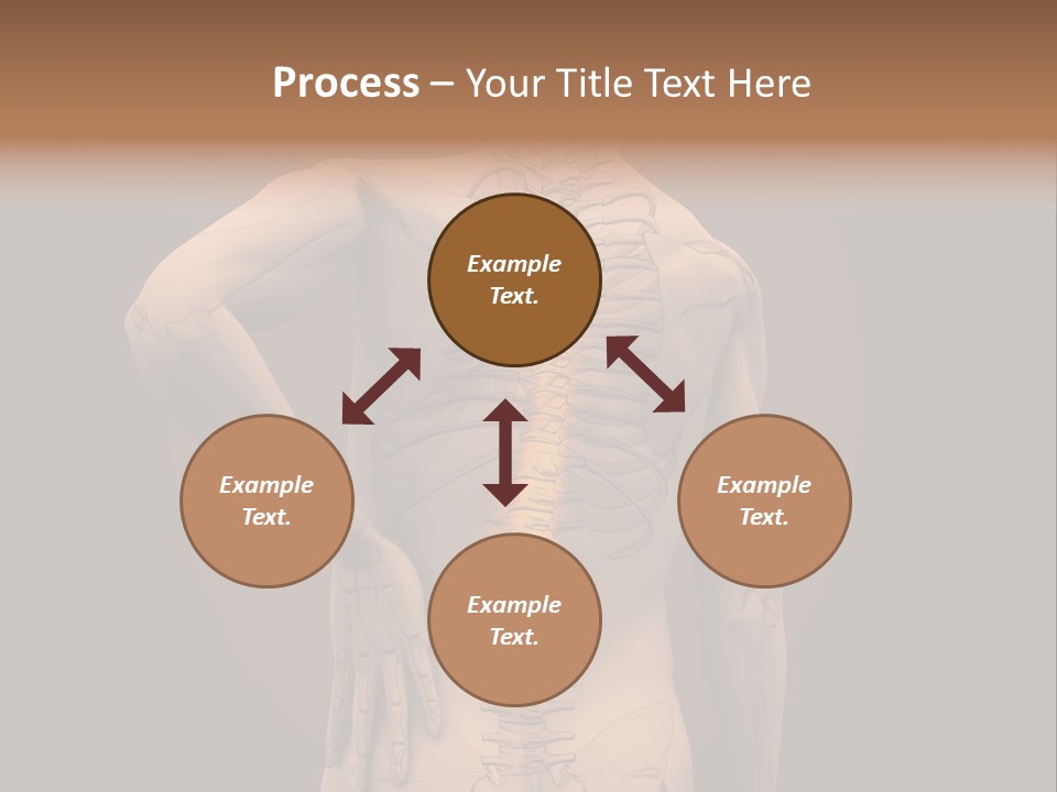 Transparent Body Spine PowerPoint Template