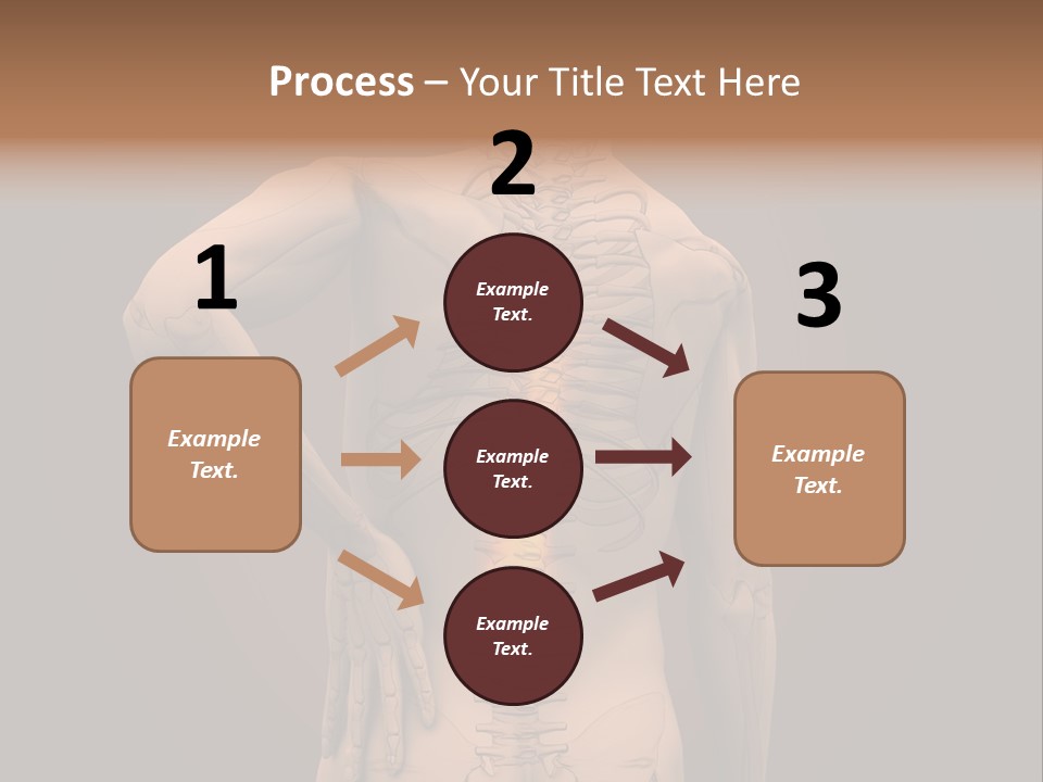Transparent Body Spine PowerPoint Template