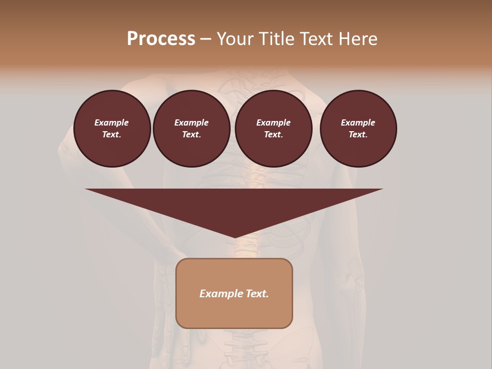Transparent Body Spine PowerPoint Template