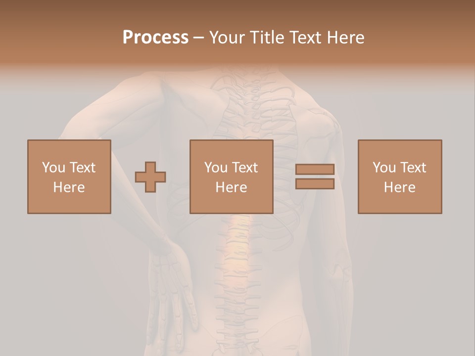 Transparent Body Spine PowerPoint Template