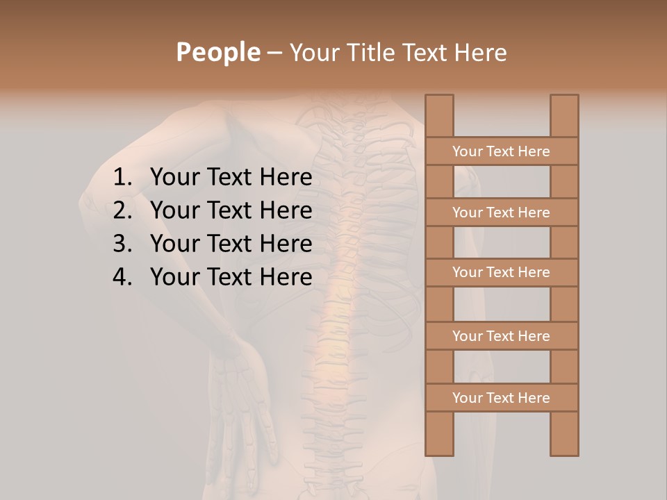 Transparent Body Spine PowerPoint Template