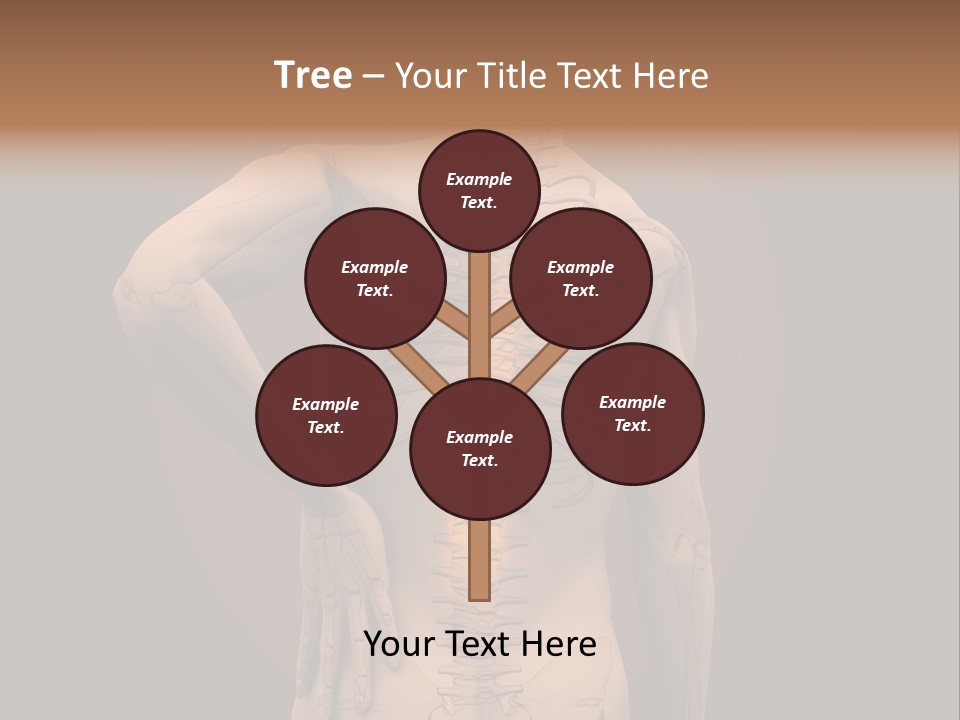 Transparent Body Spine PowerPoint Template