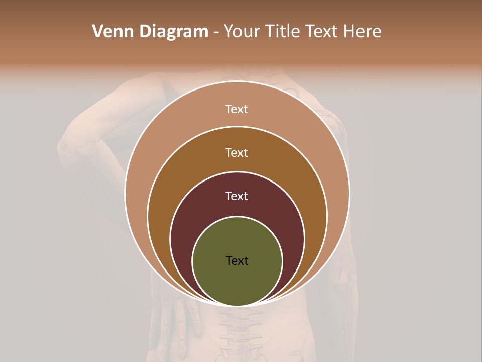 Transparent Body Spine PowerPoint Template