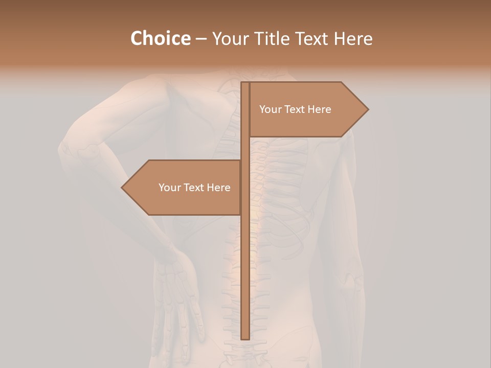 Transparent Body Spine PowerPoint Template