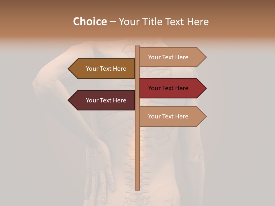 Transparent Body Spine PowerPoint Template