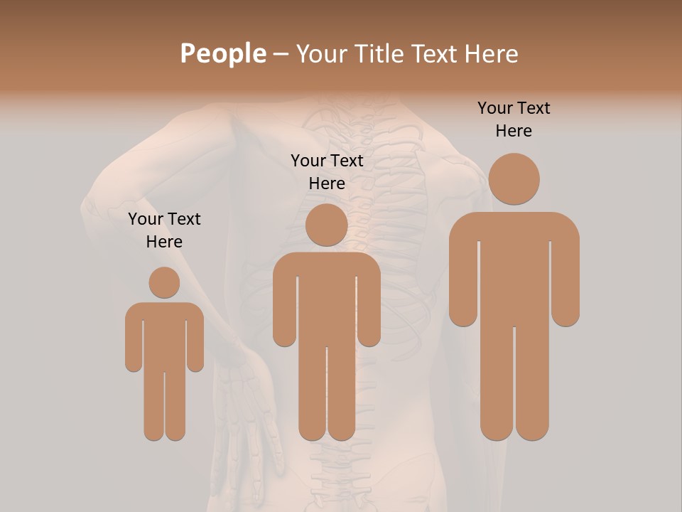 Transparent Body Spine PowerPoint Template