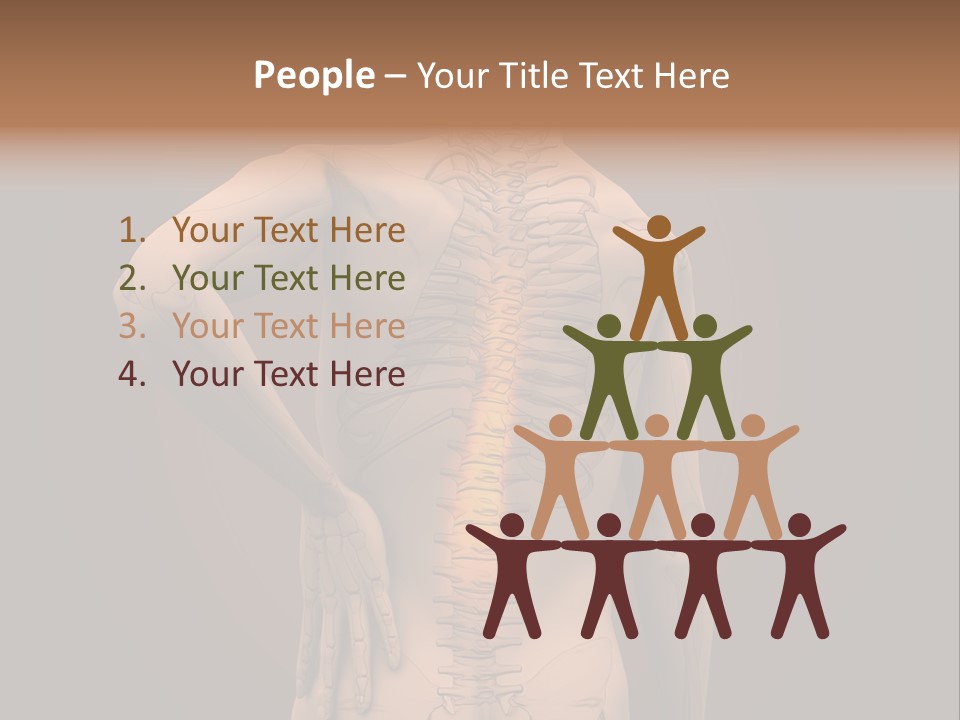 Transparent Body Spine PowerPoint Template