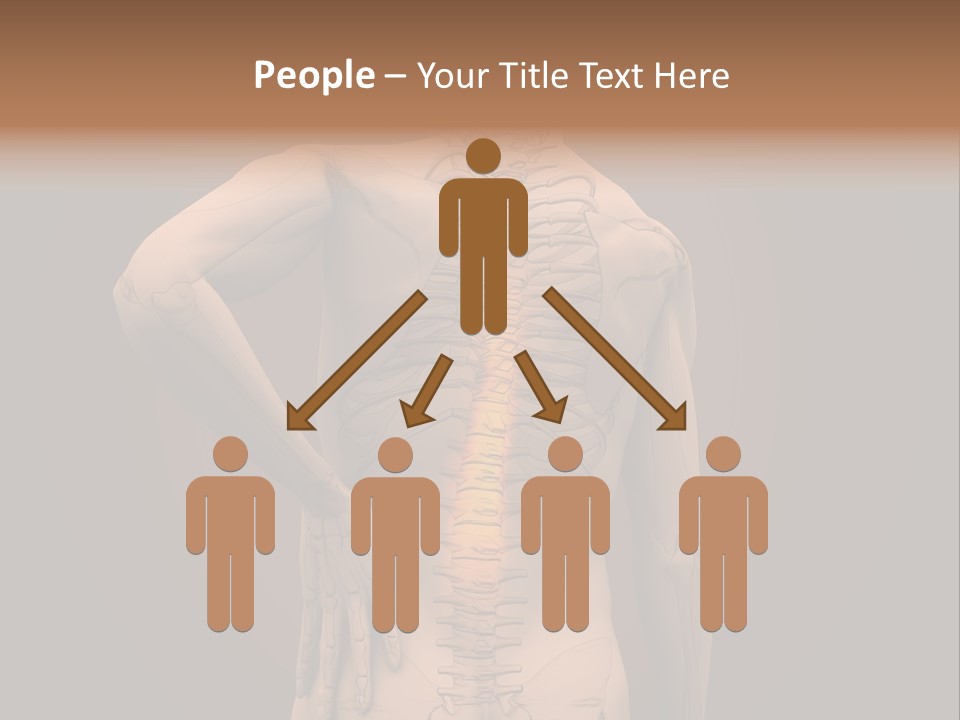 Transparent Body Spine PowerPoint Template