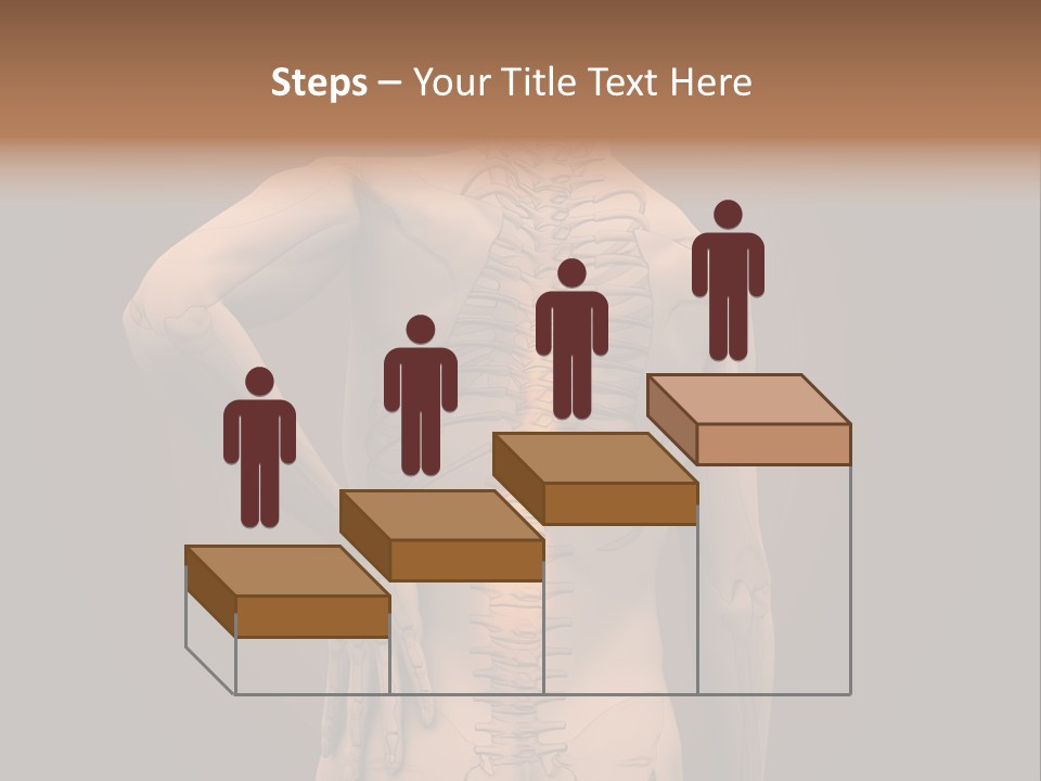Transparent Body Spine PowerPoint Template