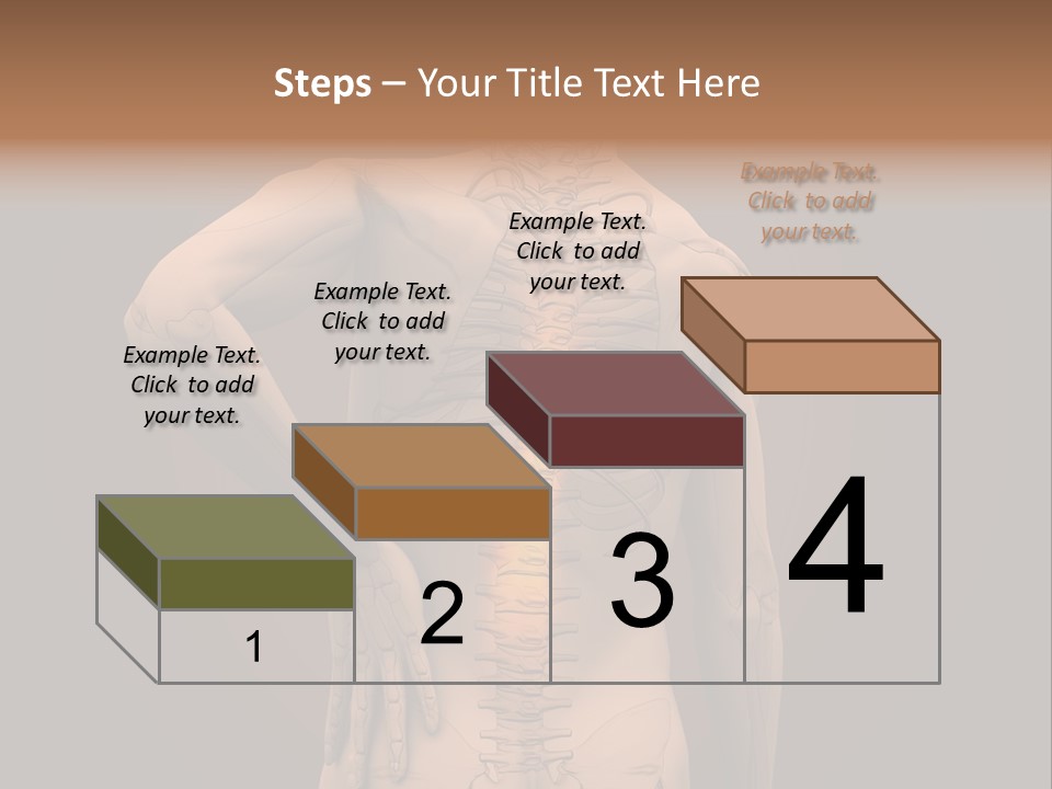 Transparent Body Spine PowerPoint Template