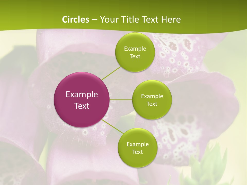 Rubbing Vertebrae Red PowerPoint Template