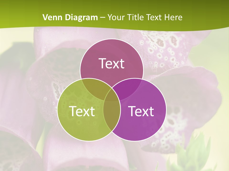 Rubbing Vertebrae Red PowerPoint Template