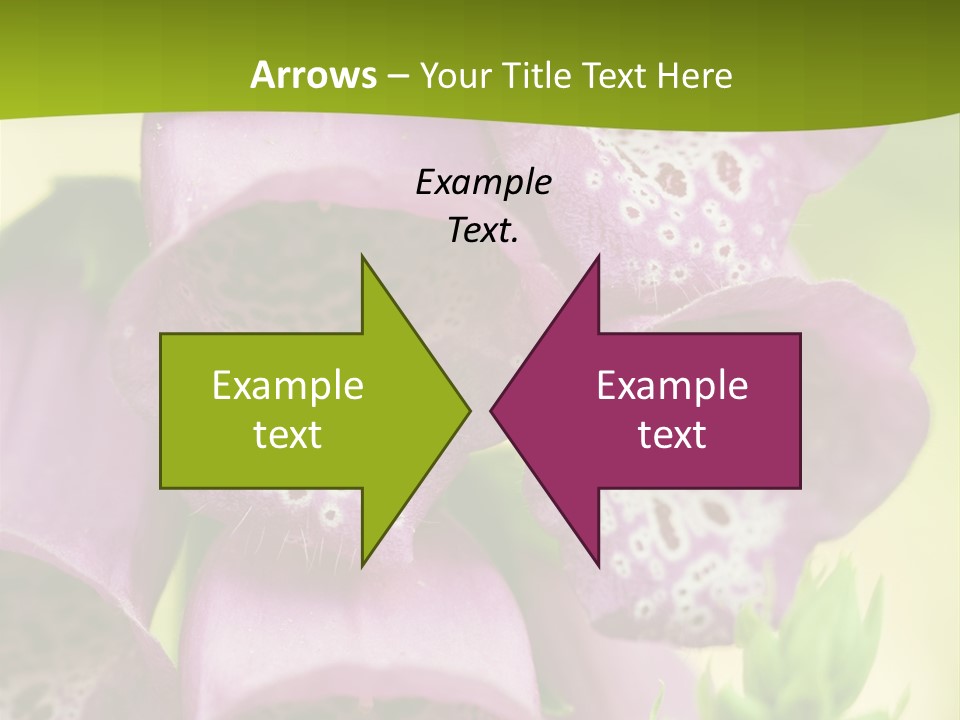 Rubbing Vertebrae Red PowerPoint Template