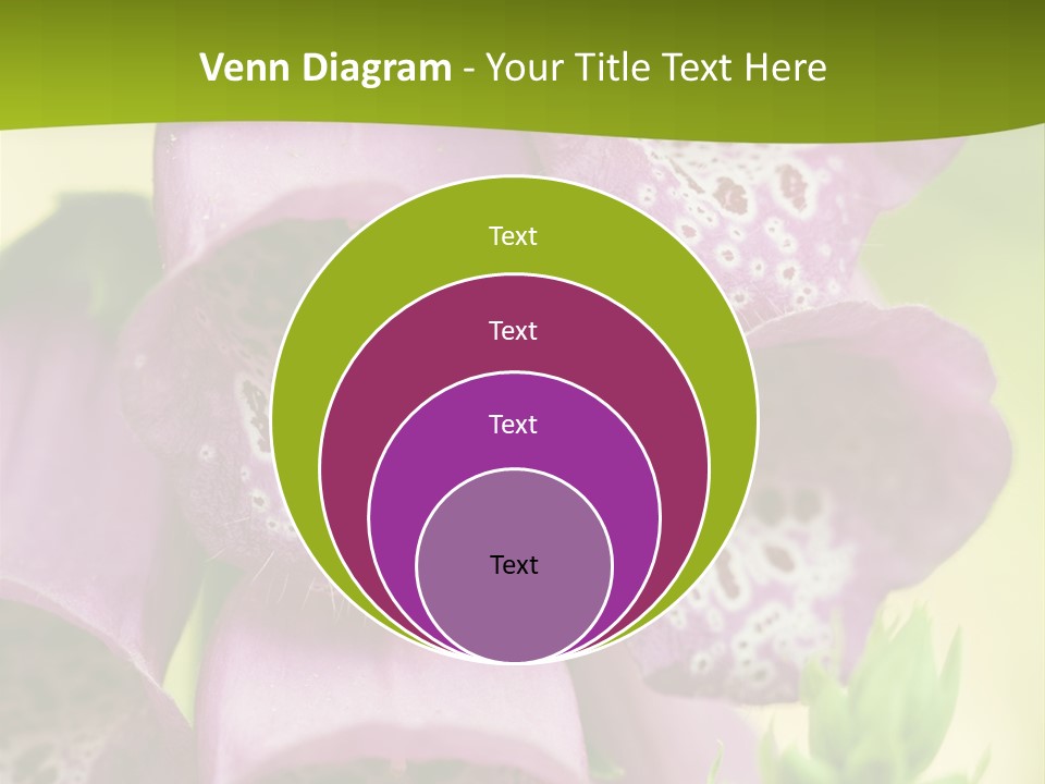 Rubbing Vertebrae Red PowerPoint Template