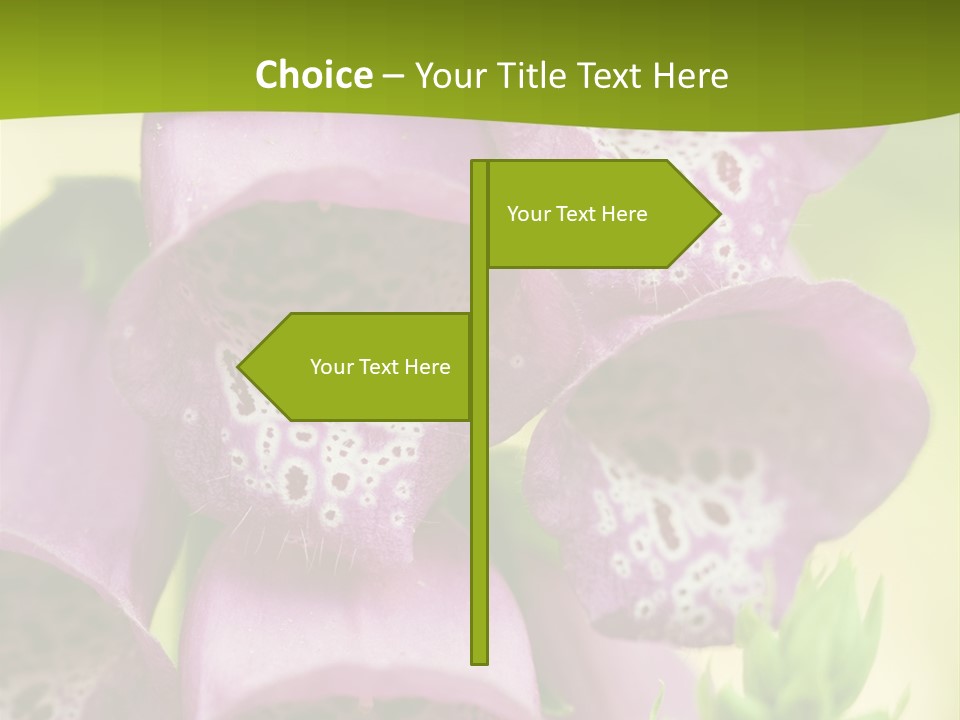 Rubbing Vertebrae Red PowerPoint Template