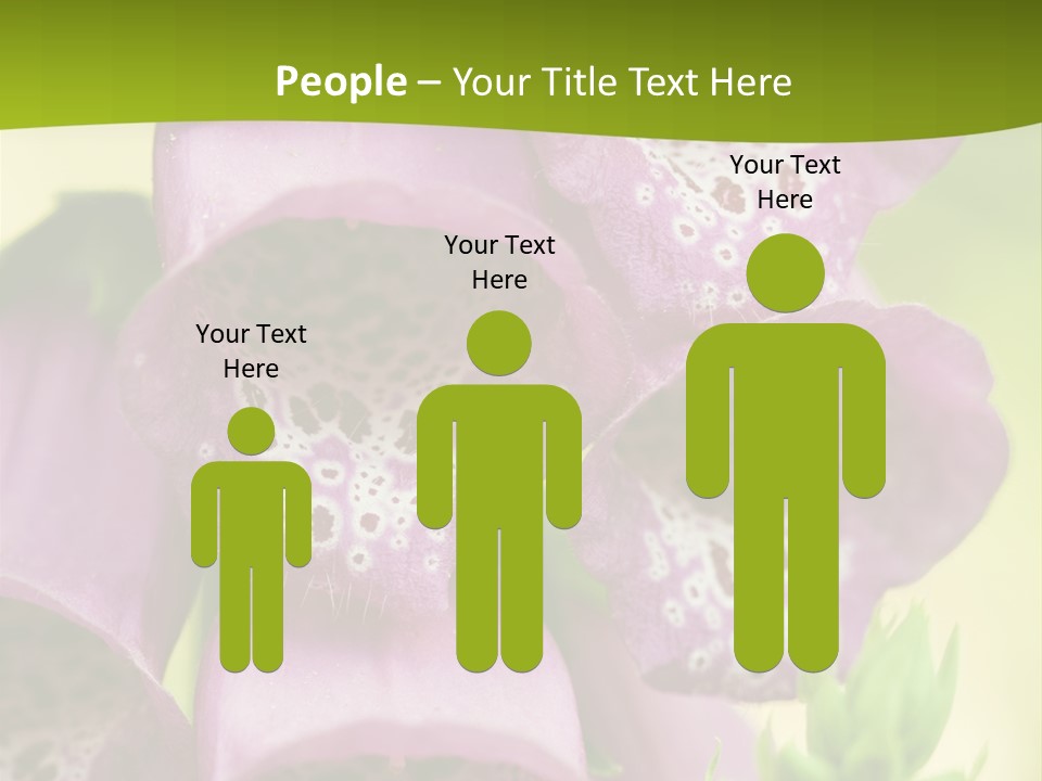 Rubbing Vertebrae Red PowerPoint Template