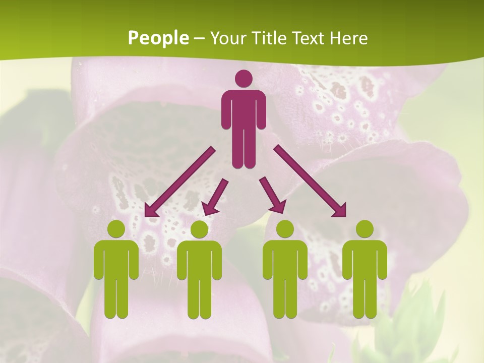 Rubbing Vertebrae Red PowerPoint Template