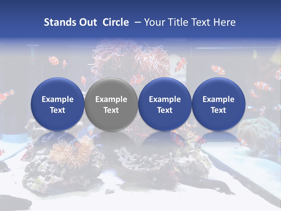 Spine Red Orthopedics PowerPoint Template