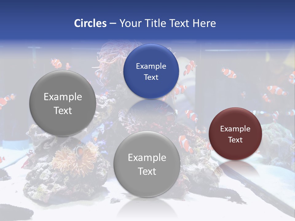 Spine Red Orthopedics PowerPoint Template