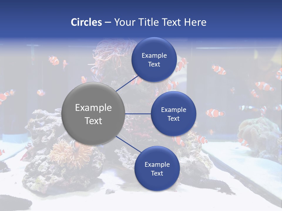Spine Red Orthopedics PowerPoint Template
