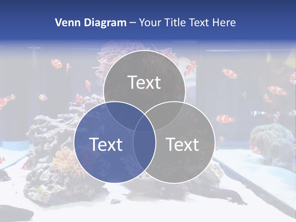 Spine Red Orthopedics PowerPoint Template