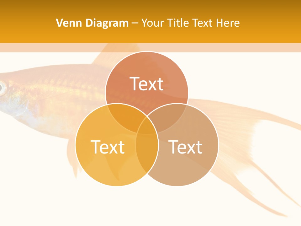Spine Massaging Back Pain PowerPoint Template
