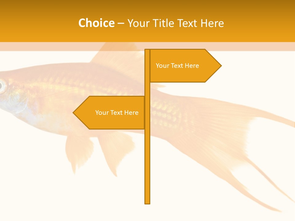 Spine Massaging Back Pain PowerPoint Template