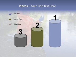 Back Illustration Spine PowerPoint Template